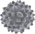 Isolated microscopic image of white blood cell