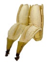 Isolated mirror image shows banana & peeling or imagine two people together on recliner furniture chairs.