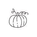 Isolated monoline contour pumpkin on white background. Hand drawn vector doodle. Autumn sketch drawing illustration