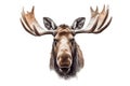 Isolated Moose Face Illustration on Transparent Background, Generative Ai