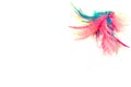 Isolated multi color fluffy feathers isolated over white background. Royalty Free Stock Photo