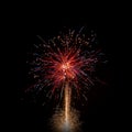 Isolated multi colored event firework at night Royalty Free Stock Photo