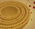 Isolated multi lamellar vesicle with scattered hydrophobic nanodrugs molecule