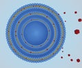 Isolated multi lamellar vesicle with scattered hydrophobic nanodrugs molecule