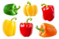 Isolated multicolored bell peppers Royalty Free Stock Photo