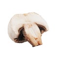 Isolated mushroom half Royalty Free Stock Photo