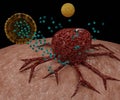 nanodrug delivery system with liposomes encapsulation cancer cell targeting