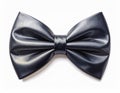 Isolated Navy Blue Bow Tie on White Background Fashion Accessory Royalty Free Stock Photo