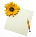 Isolated note, pencil and flower