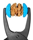 Isolated nut in grip vice Royalty Free Stock Photo
