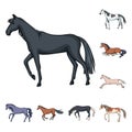 Isolated object of animal and stallion logo. Set of animal and farm vector icon for stock. Royalty Free Stock Photo