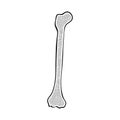 Isolated object of bone and skeleton symbol. Set of bone and human vector icon for stock.
