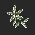 isolated object of a branch of green leaves, in the style of watercolor. vector Royalty Free Stock Photo