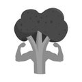 Isolated object of broccoli and vitamin icon. Set of broccoli and ingredient stock symbol for web.