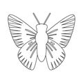 Vector illustration of butterfly and blue sign. Collection of butterfly and species vector icon for stock.