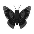 Isolated object of butterfly and blue sign. Collection of butterfly and species vector icon for stock.