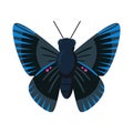 Isolated object of butterfly and blue symbol. Collection of butterfly and species stock symbol for web.