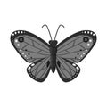 Vector illustration of butterfly and red sign. Set of butterfly and species stock symbol for web.