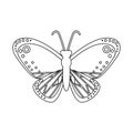 Isolated object of butterfly and red symbol. Collection of butterfly and species stock symbol for web.