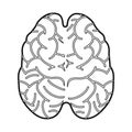 Vector illustration of cerebrum and hemisphere logo. Web element of cerebrum and gyri stock symbol for web.