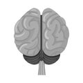 Isolated object of cerebrum and hemisphere sign. Graphic of cerebrum and gyri stock vector illustration.