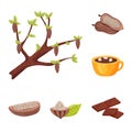 Isolated object of cocoa and beans logo. Collection of cocoa and sweetness vector icon for stock. Royalty Free Stock Photo