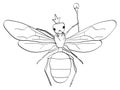 Isolated object coloring, black lines, white background. . The insect, the head of the ants, the queen in the crown and