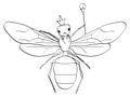 Isolated object coloring, black lines, white background. The insect, the head of the ants, the queen in the crown and