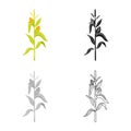 Isolated object of corn and stalk logo. Set of corn and field stock symbol for web. Royalty Free Stock Photo