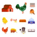 Vector illustration of farm and poultry logo. Set of farm and agriculture vector icon for stock. Royalty Free Stock Photo