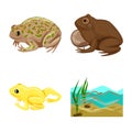 Isolated object of frog and anuran logo. Collection of frog and animal vector icon for stock. Royalty Free Stock Photo