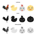 Isolated object of funny and poultry logo. Set of funny and farming vector icon for stock. Royalty Free Stock Photo