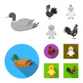 Isolated object of funny and poultry symbol. Collection of funny and farming vector icon for stock. Royalty Free Stock Photo