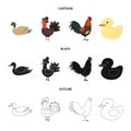 Isolated object of funny and poultry symbol. Set of funny and farming vector icon for stock. Royalty Free Stock Photo