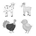 Isolated object of homestead and agriculture icon. Collection of homestead and kitchen stock vector illustration. Royalty Free Stock Photo