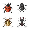 Isolated object of insect and beetle logo. Collection of insect and halloween stock symbol for web.