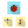 Vector illustration of insect and fly sign. Set of insect and element stock symbol for web. Royalty Free Stock Photo
