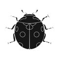 Vector illustration of insect and fly sign. Collection of insect and element stock symbol for web. Royalty Free Stock Photo