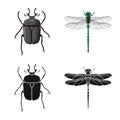 Isolated object of insect and fly sign. Collection of insect and element vector icon for stock.