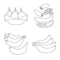 Vector illustration of organic and potassium symbol. Set of organic and diet vector icon for stock.