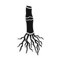 Isolated object of root and sugar symbol. Web element of root and cane vector icon for stock.