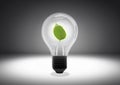 Isolated object shot of a light bulb with a green leaf inside on a dark background Royalty Free Stock Photo