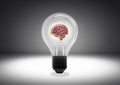 Isolated object shot of a light bulb with human brain inside on a dark background Royalty Free Stock Photo