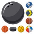 Isolated object of sport and ball logo. Collection of sport and athletic stock symbol for web.