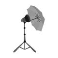 Isolated object of spotlight and lamp sign. Graphic of spotlight and umbrella vector icon for stock. Royalty Free Stock Photo