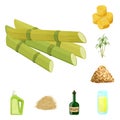 Vector illustration of sugarcane and cane logo. Collection of sugarcane and field vector icon for stock.