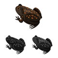 Isolated object of toad and tropical logo. Collection of toad and ecology vector icon for stock. Royalty Free Stock Photo