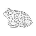 Isolated object of toad and tropical logo. Set of toad and points stock symbol for web. Royalty Free Stock Photo