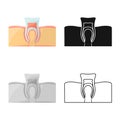 Isolated object of tooth and gingiva symbol. Graphic of tooth and clean stock symbol for web.