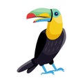 Vector illustration of toucan and bird logo. Set of toucan and jungle vector icon for stock.